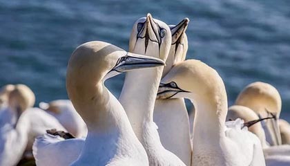 kaiyun：把生活装进云端，遇见更好的自己