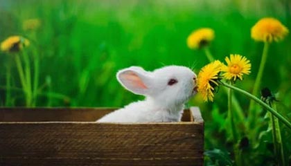 kaiyun：把生活装进云端，遇见更好的自己